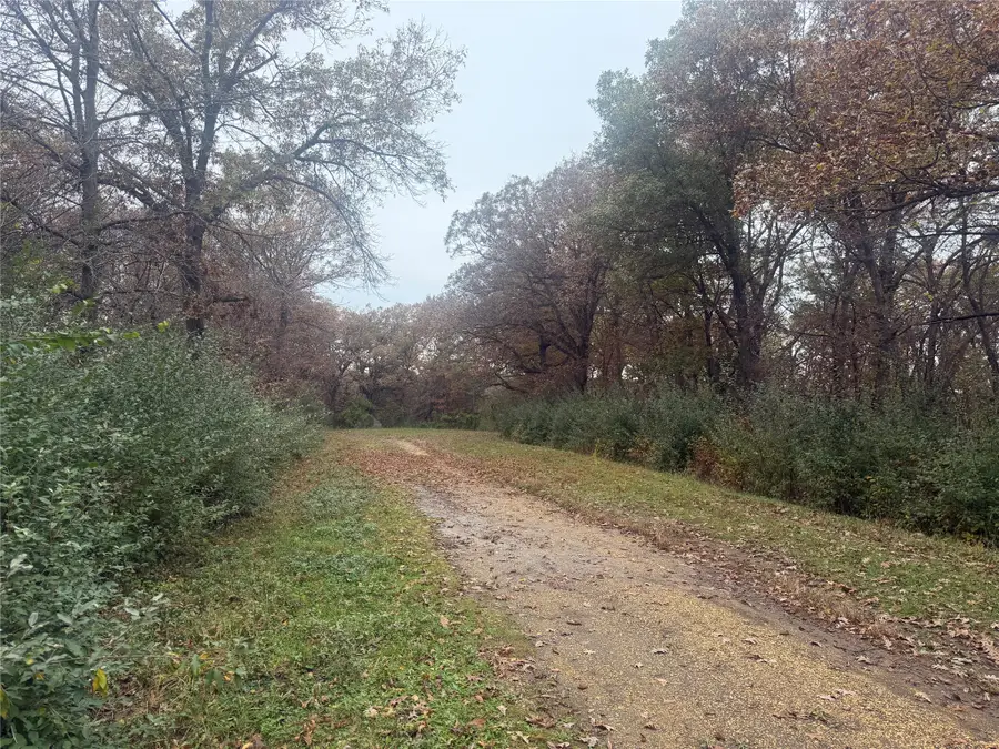 6512 Jansen Cove, Panora, IA 50216 - #2