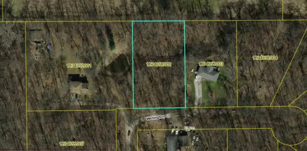 Wellington Ct., Letts, IA 52754