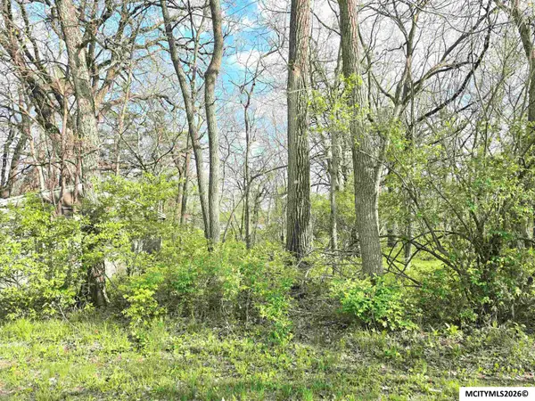 Lot 9-10 3rd St SE, ROCKFORD, IA 50468