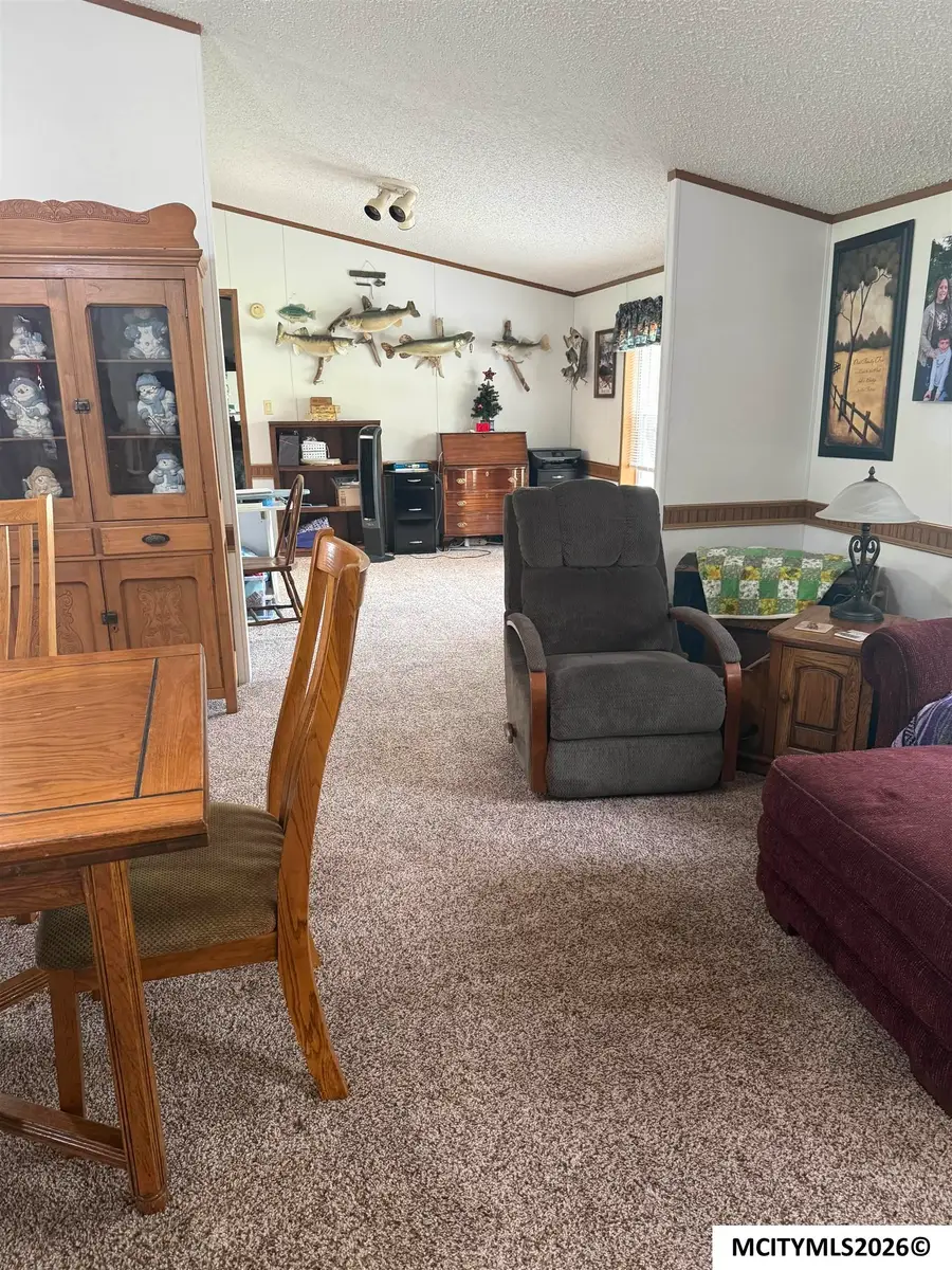 310 Bickford st, Dumont, IA 50625 - #3