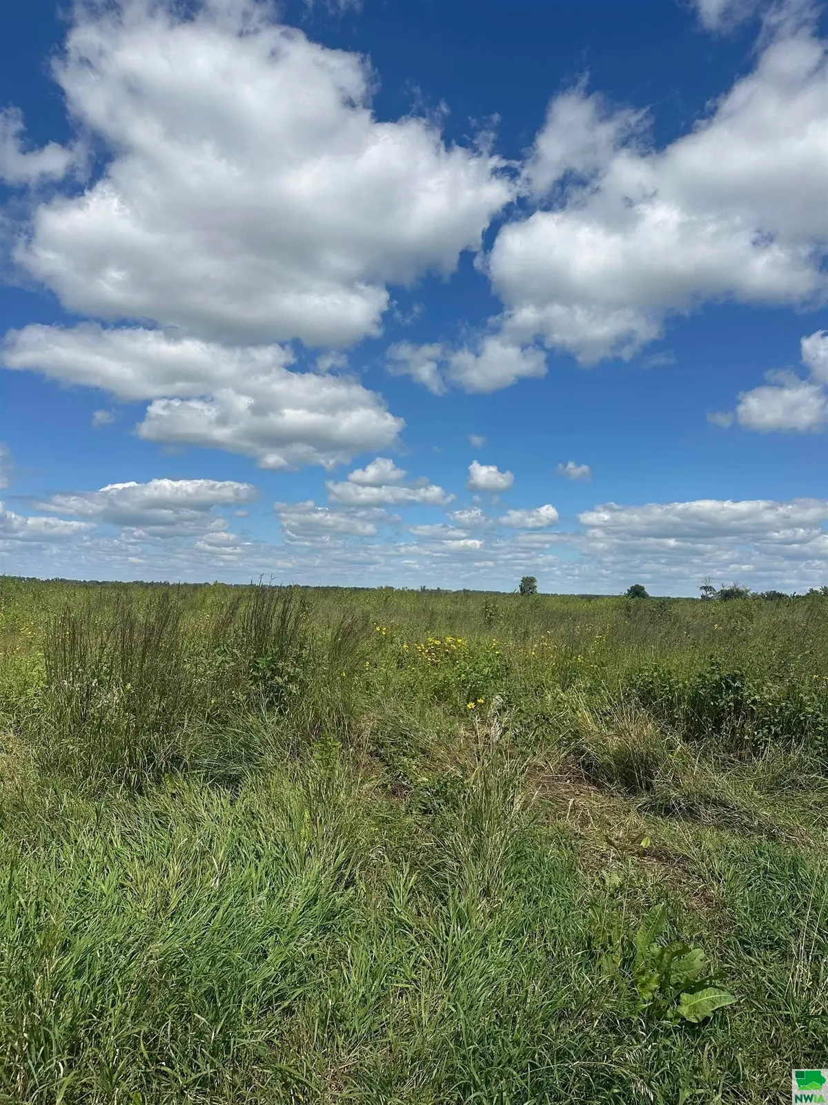 000 122nd Street, Jackson, NE 68743 - Image #1