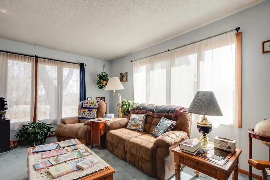 304 FRANKFORT AVE SE, Orange City, IA 51041 - #3