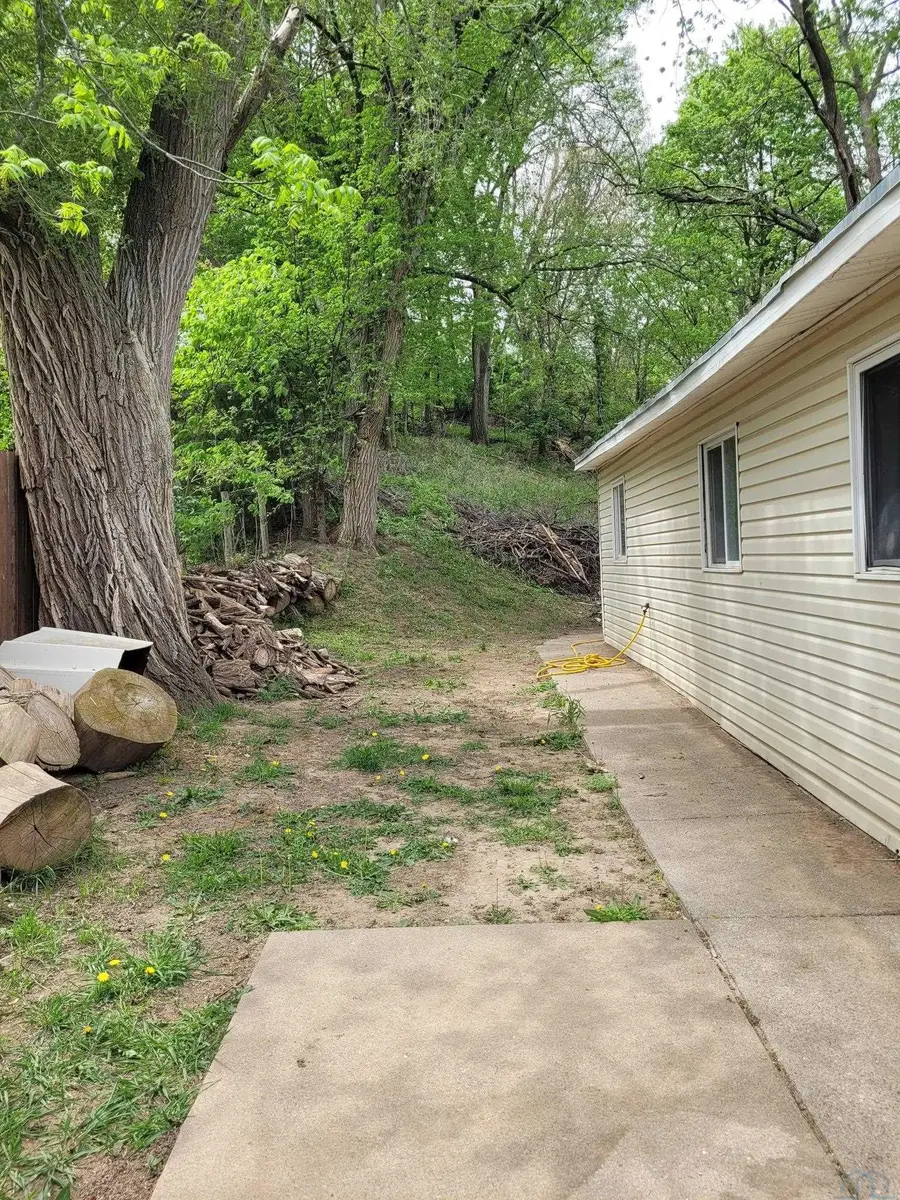 1529 Carlin Avenue, Sioux City, IA 51105 - #3