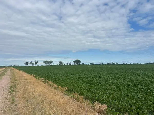 TBD 310th Street, Salix, IA 51052