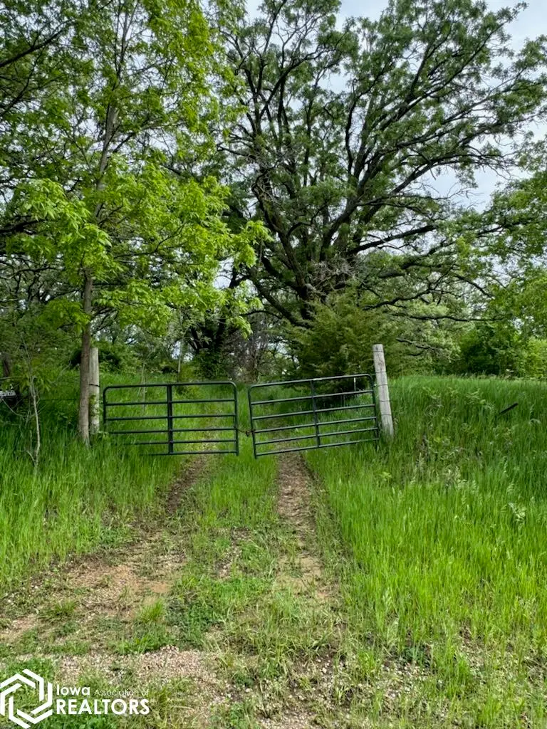 4th Street, Dedham, IA 51440 - #2