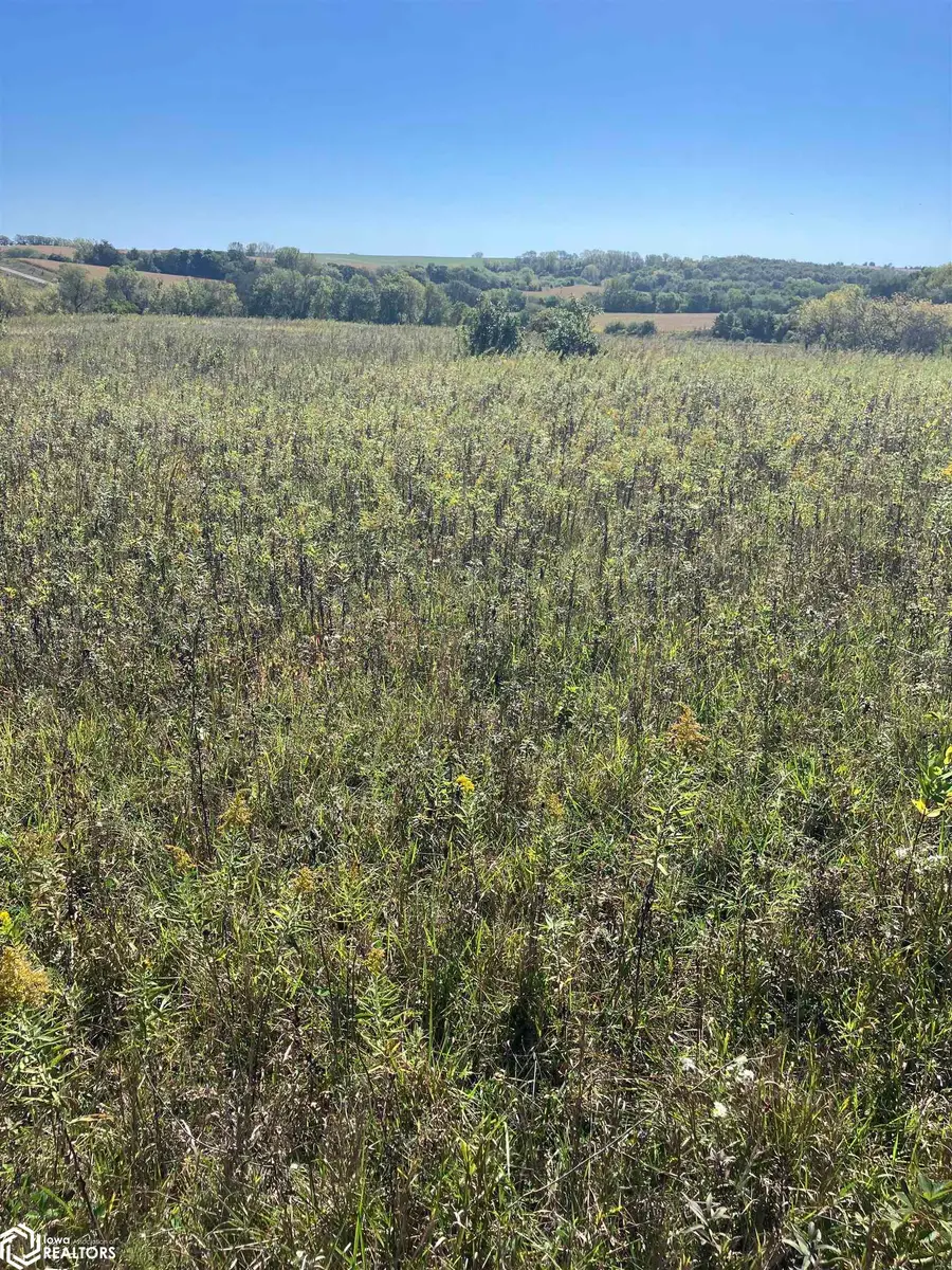 250th Street E, Mount Ayr, IA 50854 - Image #3