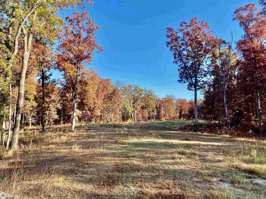 J3T Highway, Unionville, IA 52594 - Image #2