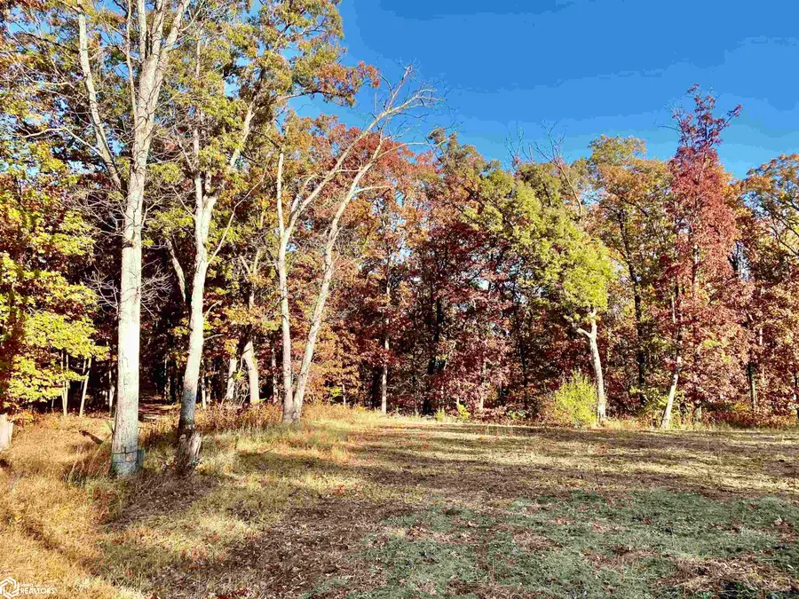 J3T Highway, Unionville, IA 52594 - Image #3