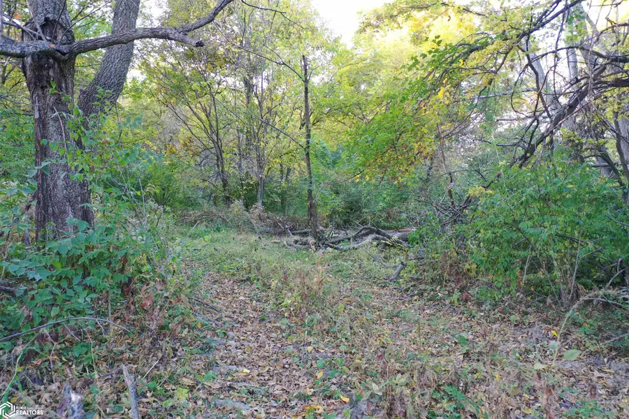 5440 Lower West Branch Road Se, Scott, IA 52358 - Image #3