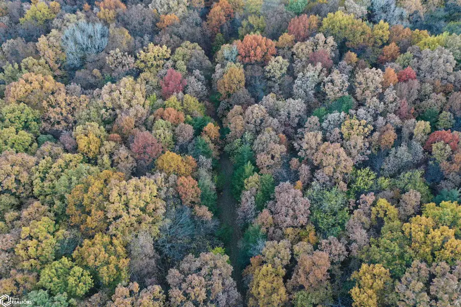 County Highway S56, Wright, IA 50238 - Image #3