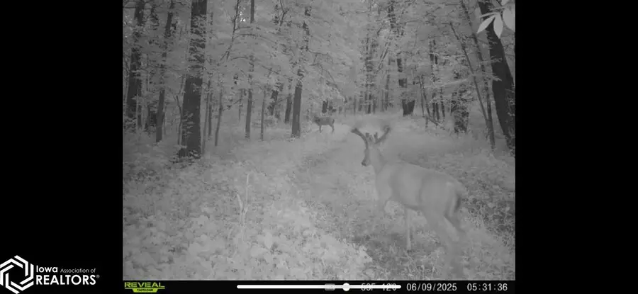 13241 Hickory Blvd, Drakesville, IA 52552 - Image #2