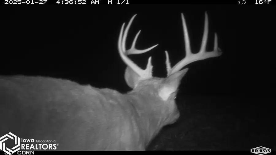 183rd Avenue, Cincinnati, IA 52549 - Image #2