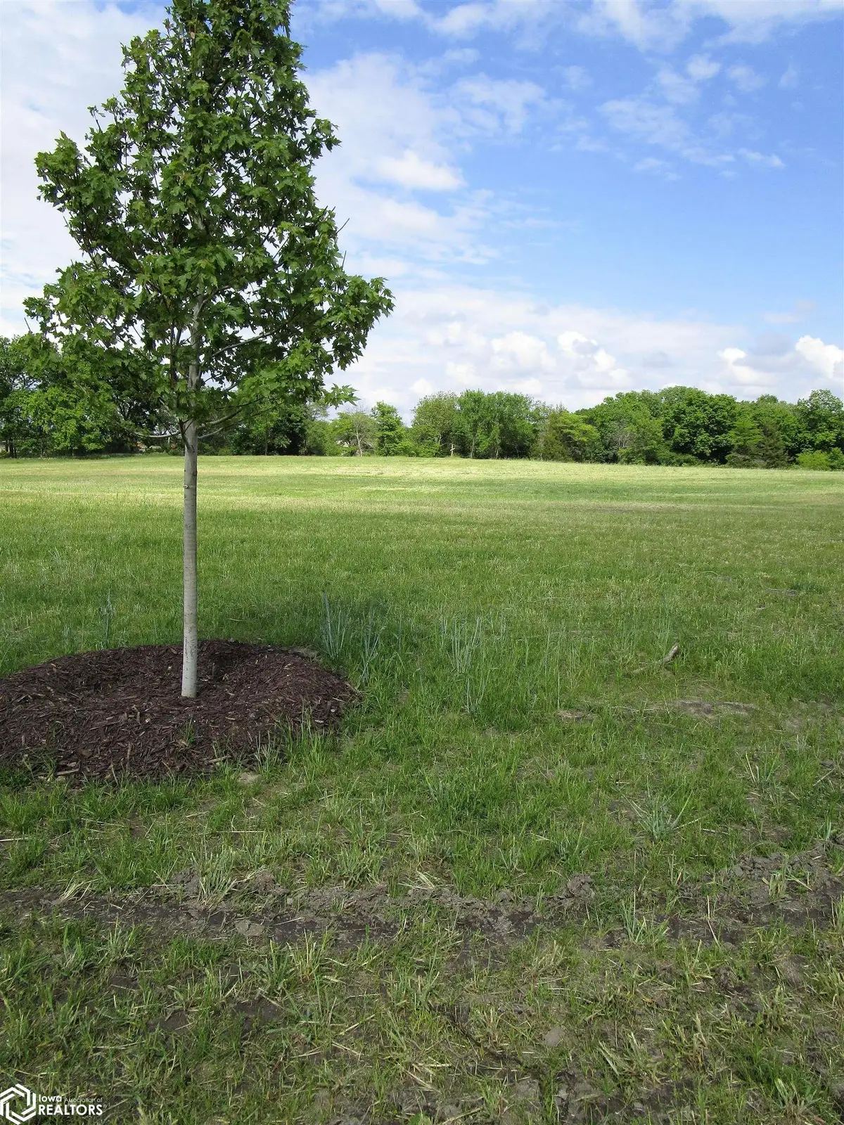 1014 Palisades Court, Iowa Falls, IA 50126 - Image #1