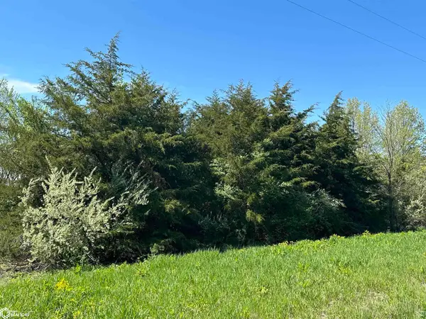 0 150th Street, Mystic, IA 52574