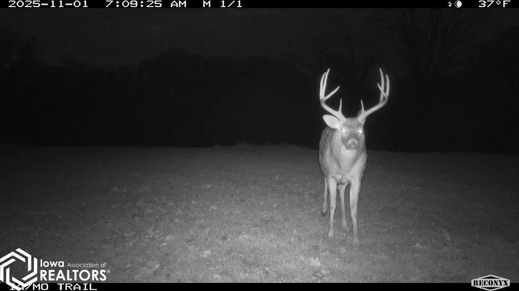 183rd Avenue, Cincinnati, IA 52549 - Image #1