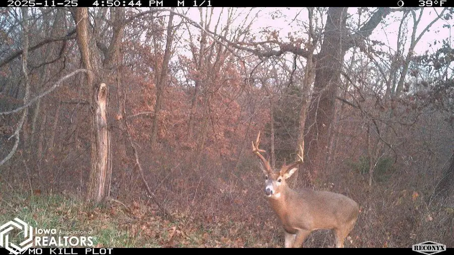 183rd Avenue, Cincinnati, IA 52549 - Image #2