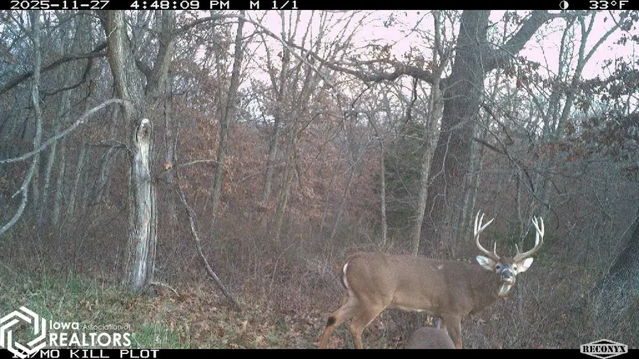 183rd Avenue, Cincinnati, IA 52549 - Image #3