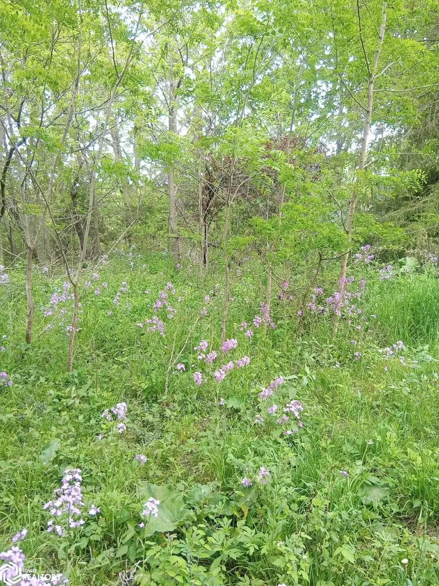 206 N 6th Street, Mystic, IA 52574 - Image #3