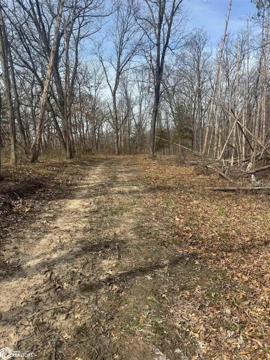 Osage Avenue, Fairfield, IA 52556 - Image #2