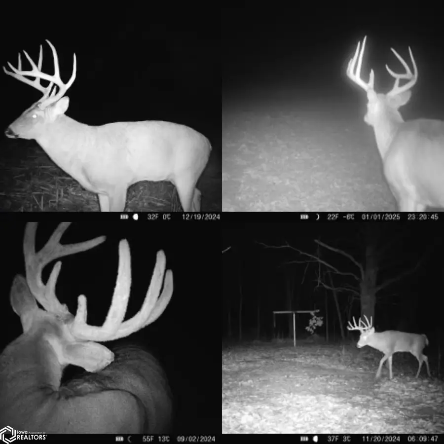 000 175th Avenue, Argyle, IA 52619 - Image #2