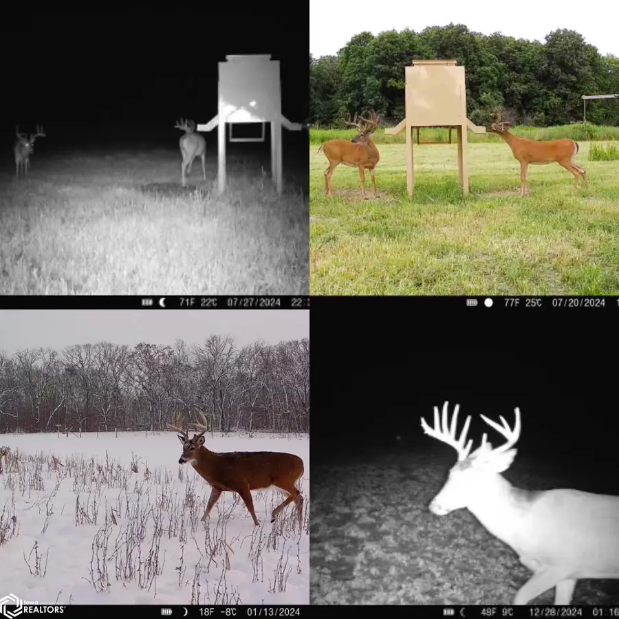 000 175th Avenue, Argyle, IA 52619 - Image #3