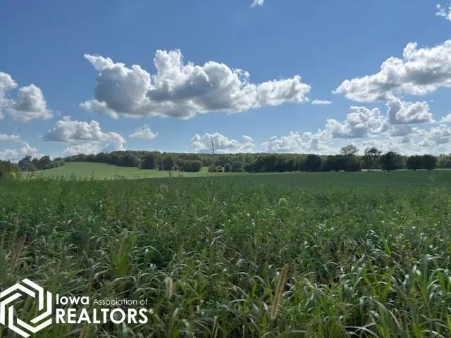 Bethel Rock Avenue, Douds, IA 52551 - Image #2