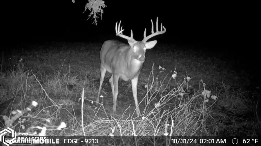 0 160th Avenue, Mystic, IA 52574 - Image #3