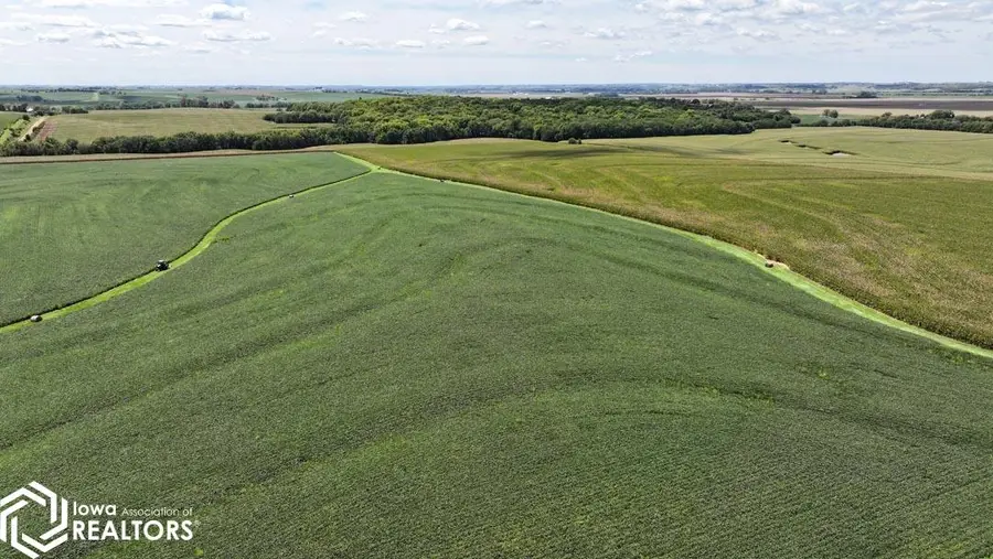 3355 160 St., Randolph, IA 51649 - Image #2