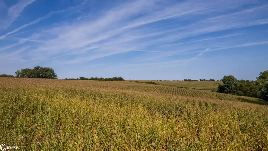 Cedar Avenue, Lineville, IA 50147 - Image #2