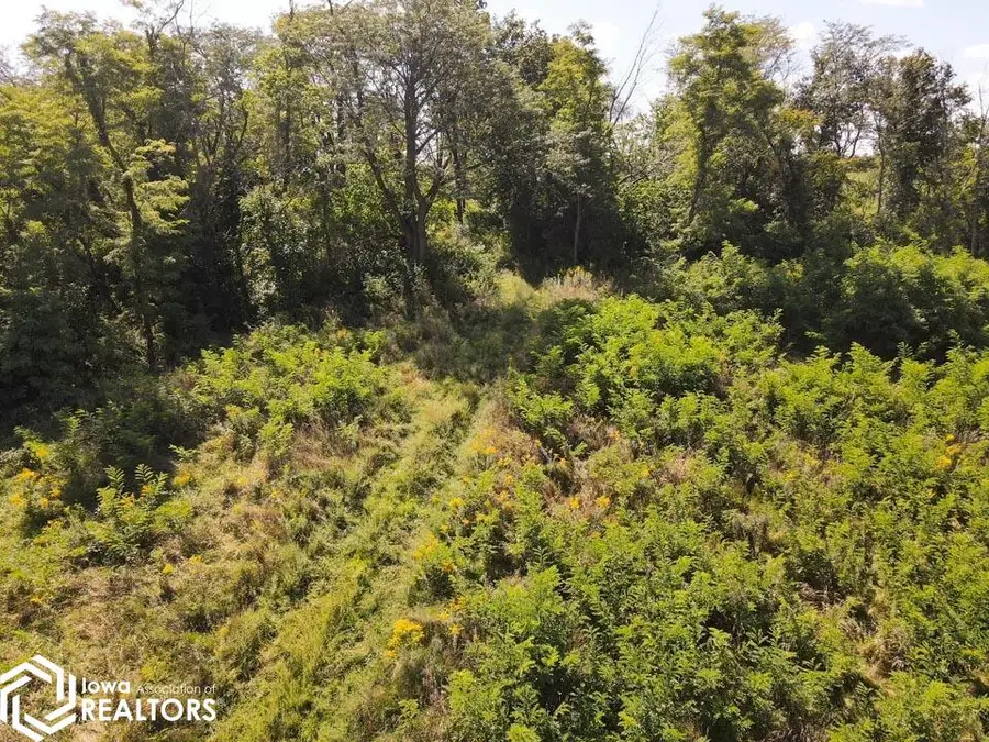 880 Montagne Ln., Ottumwa, IA 52501 - Image #2