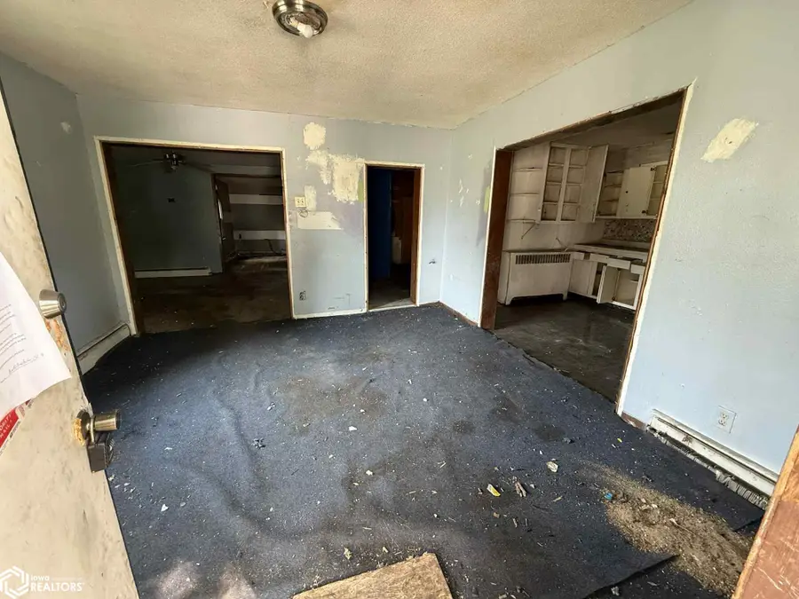 310 S Church Street, Morning Sun, IA 52640 - Image #2