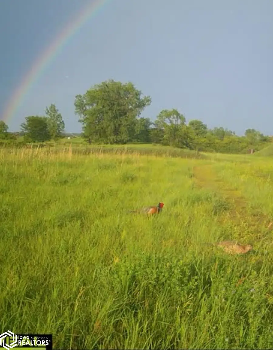 3215 305th Street, Dows, IA 50071 - Image #2