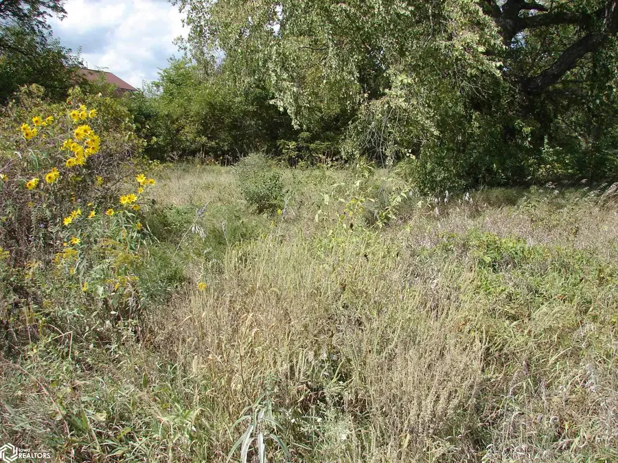 145th St., Hillsboro, IA 52630 - Image #3