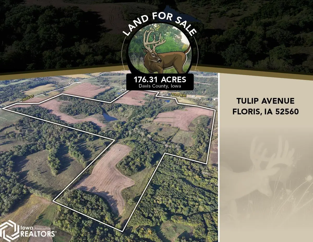 Tulip Avenue, Floris, IA 52560 - Image #1