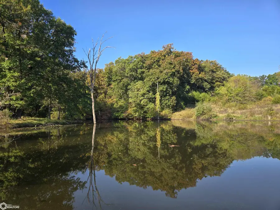 Tulip Avenue, Floris, IA 52560 - Image #3