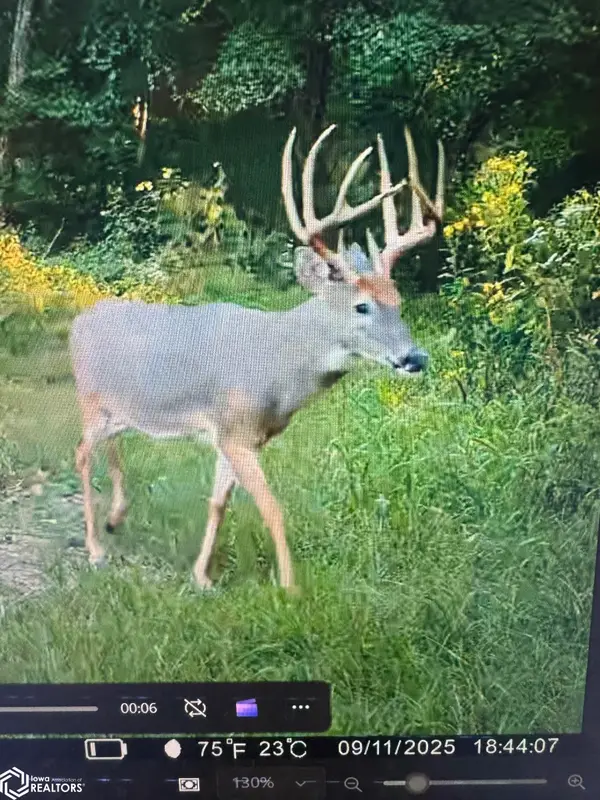 13241 Hickory Boulevard, Drakesville, IA 52552