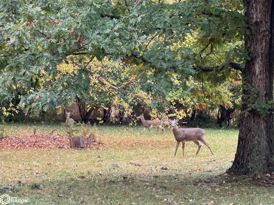 1504 Wonder Way, Fairfield, IA 52556 - Image #3