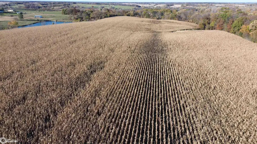 52 A Scarlet Avenue, Bloomfield, IA 52537 - Image #3