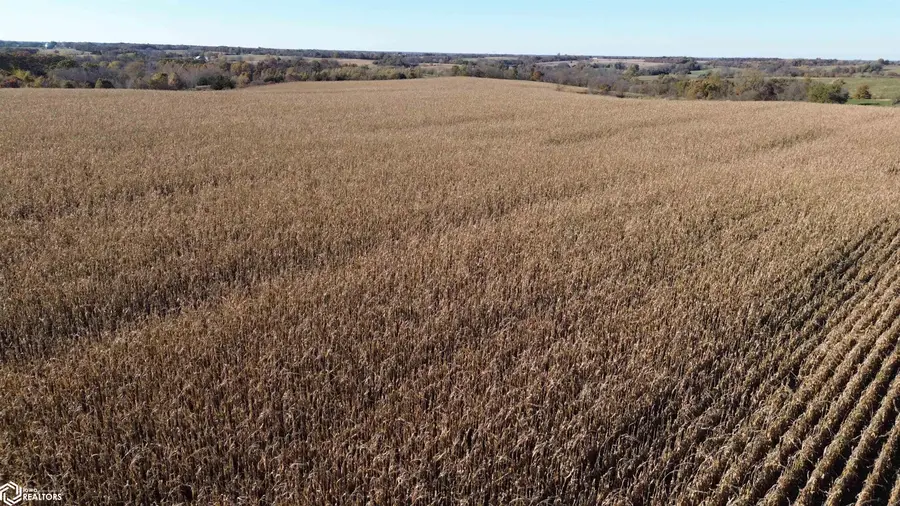 32 A 160th Street, Bloomfield, IA 52537 - Image #3