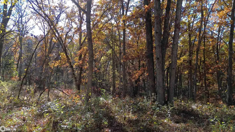 35 A Doe Avenue, Drakesville, IA 52552 - Image #3