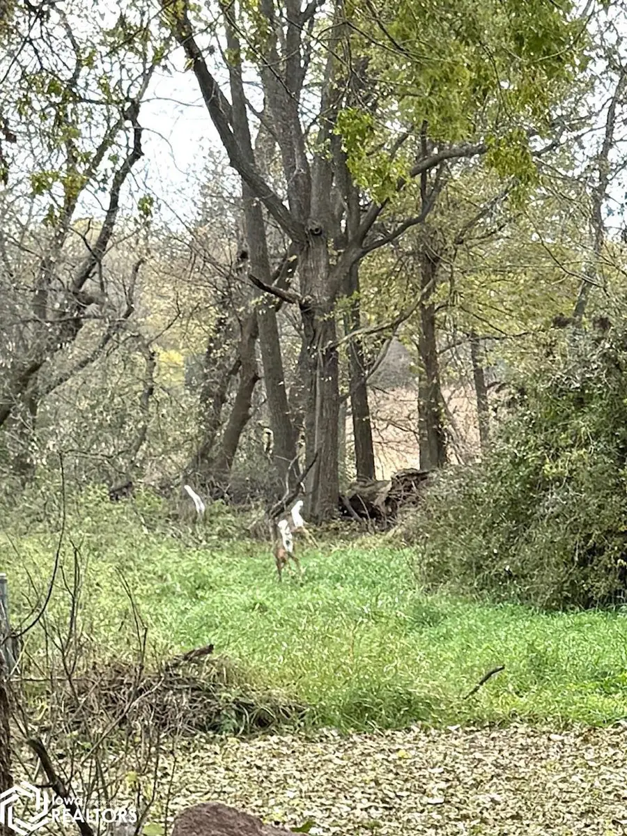 901 S 2nd Avenue, Northwood, IA 50459 - Image #2