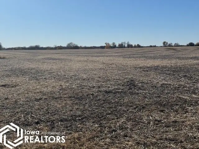 _____ 537th Street, Russell, IA 50238 - Image #3