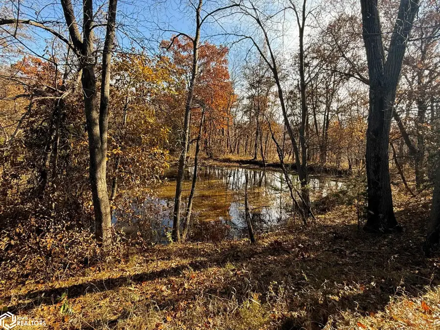 31914 165th St, Floris, IA 52560 - Image #2