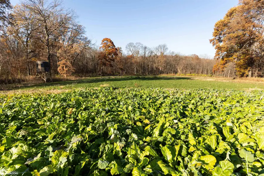 18781 125th Street, Ottumwa, IA 52501 - Image #2