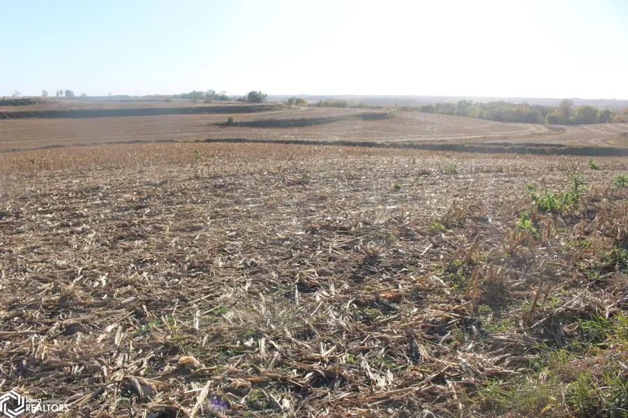 613 Clark Street, Oakland, IA 51560 - Image #2