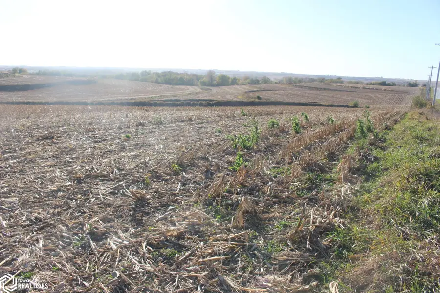 613 Clark Street, Oakland, IA 51560 - Image #3