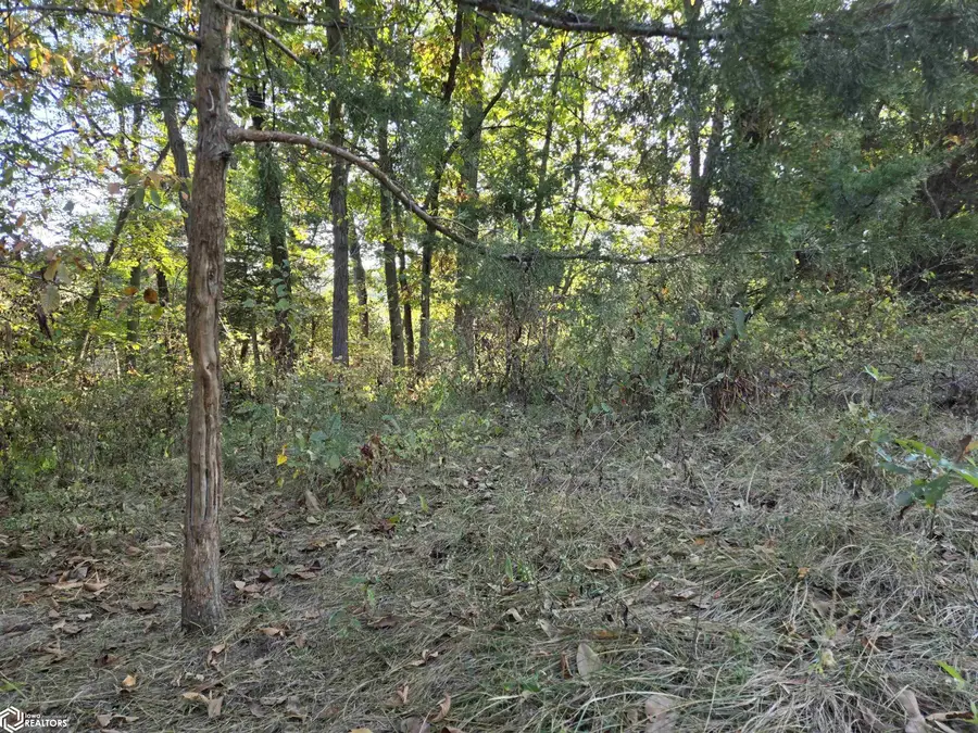 150 Street, Floris, IA 52560 - Image #3