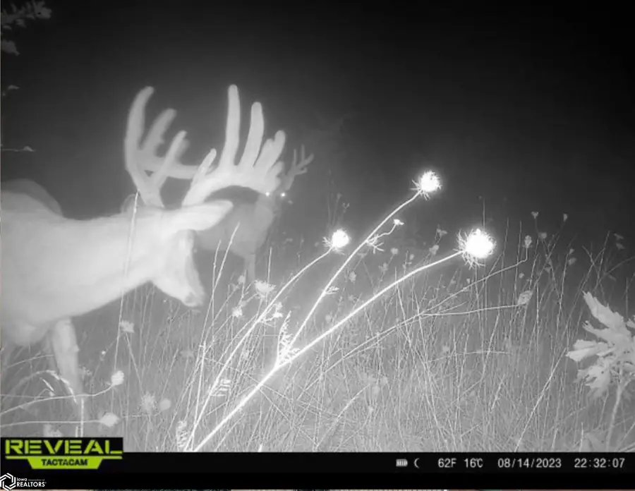 00 Tulip Avenue, Floris, IA 52560 - Image #3