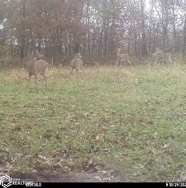 407th, Unionville, IA 52594