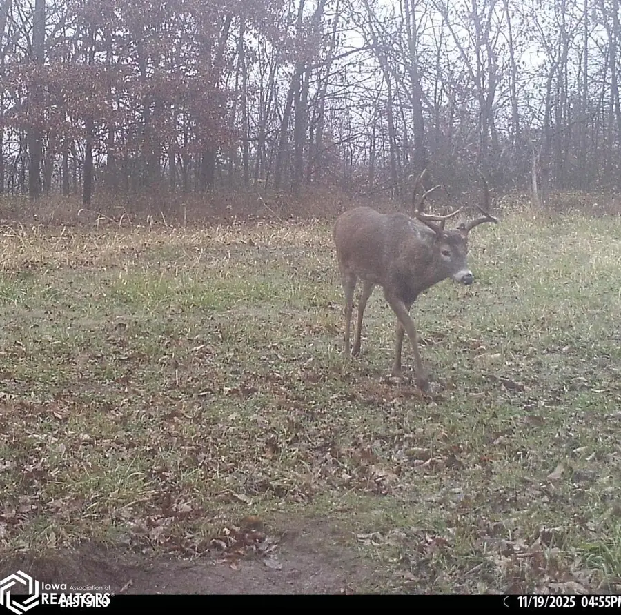 407th, Unionville, IA 52594 - Image #3